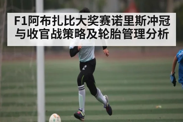 F1阿布扎比大奖赛诺里斯冲冠与收官战策略及轮胎管理分析
